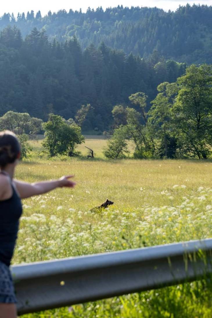 ESC Projektélmények Medve jól éreztem magam
